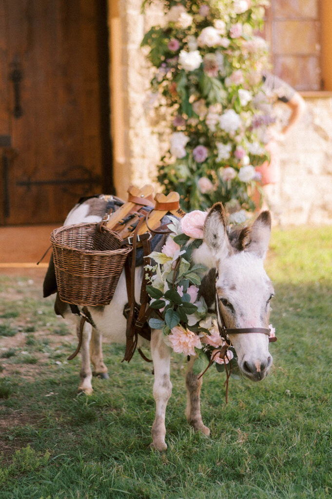 donkey at pastel wedding
